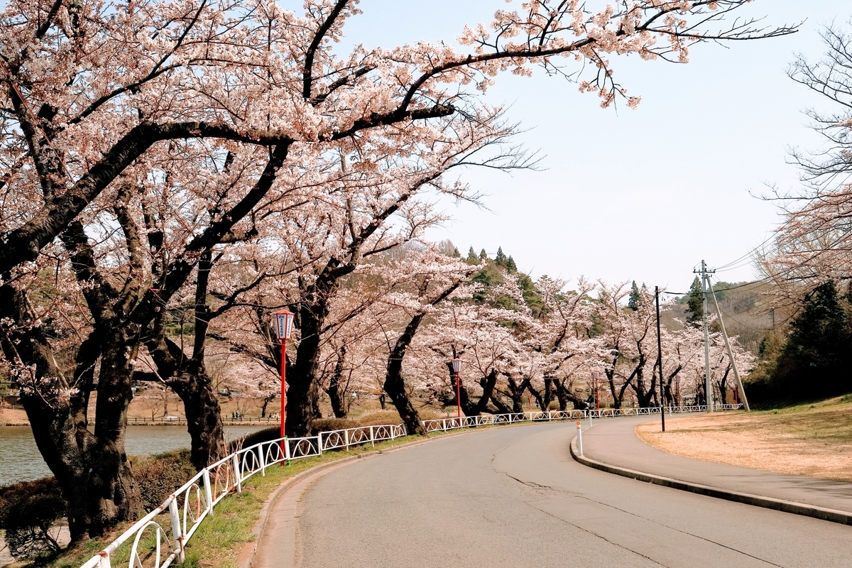 f:id:first_dragon:20190425133320j:plain