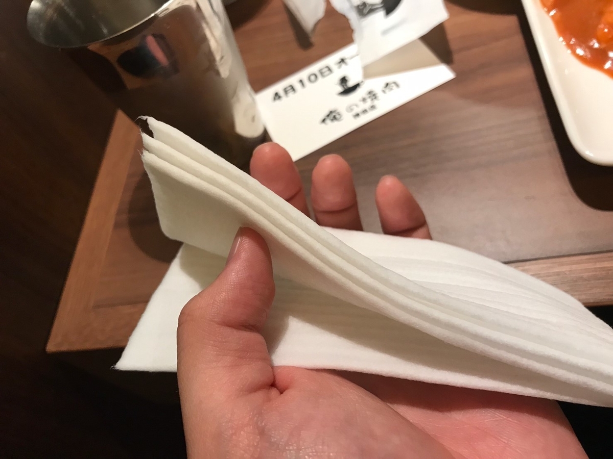 f:id:firstgalaxy:20190510140724j:plain