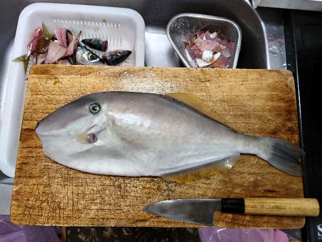 f:id:fish-eaters:20220219185146j:image f:id:fish-eaters:20220219185146j:image