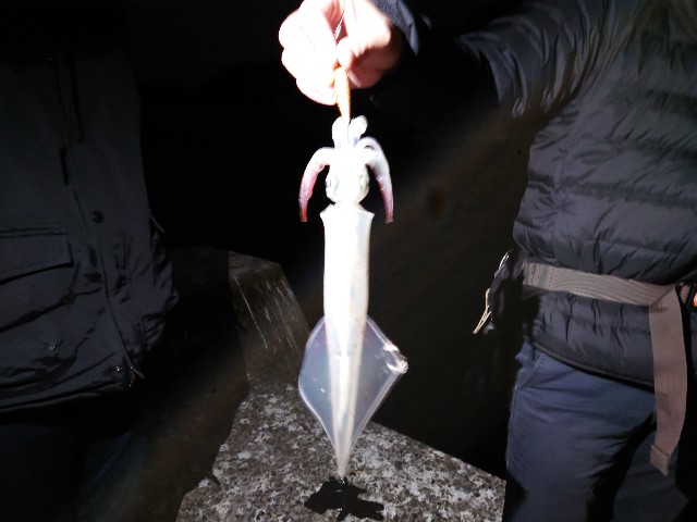 f:id:fish-eaters:20220222012307j:image f:id:fish-eaters:20220222012307j:image