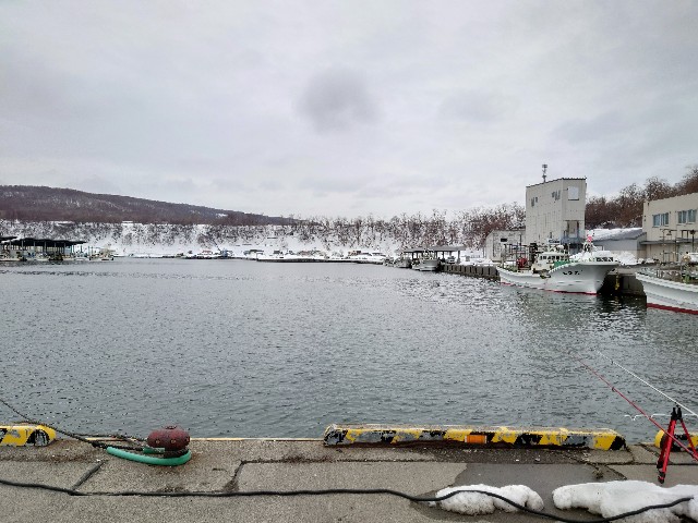 f:id:fish-eaters:20220322020831j:image f:id:fish-eaters:20220322020831j:image