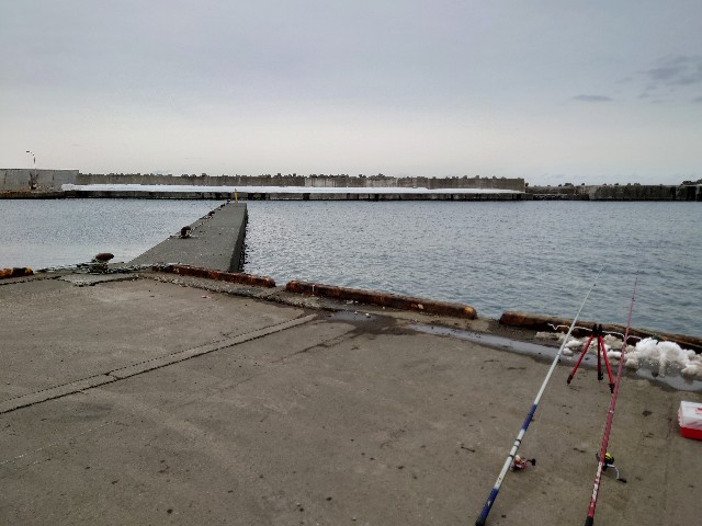 f:id:fish-eaters:20220322020922j:image f:id:fish-eaters:20220322020922j:image