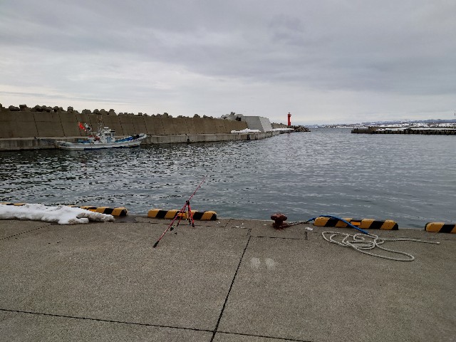 f:id:fish-eaters:20220322021206j:image f:id:fish-eaters:20220322021206j:image