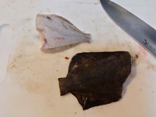 f:id:fish-eaters:20220322021304j:image f:id:fish-eaters:20220322021304j:image