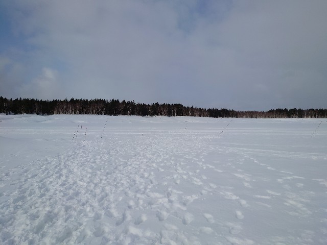 f:id:fish-eaters:20220325181636j:image f:id:fish-eaters:20220325181636j:image
