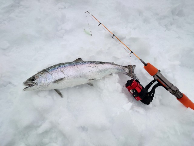 f:id:fish-eaters:20220325181842j:image f:id:fish-eaters:20220325181842j:image