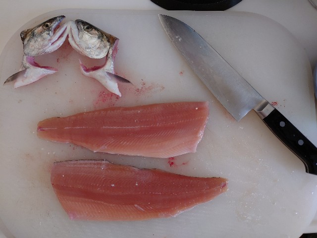 f:id:fish-eaters:20220325182113j:image f:id:fish-eaters:20220325182113j:image