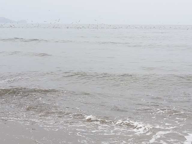 f:id:fish-eaters:20220330231827j:image f:id:fish-eaters:20220330231827j:image