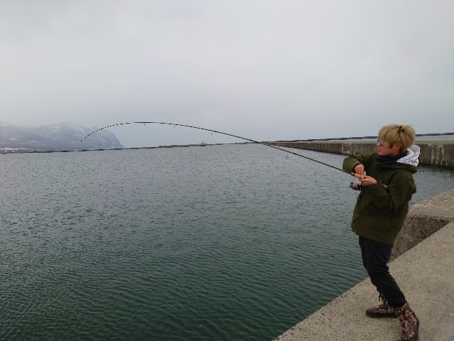 f:id:fish-eaters:20220330232430j:image f:id:fish-eaters:20220330232430j:image