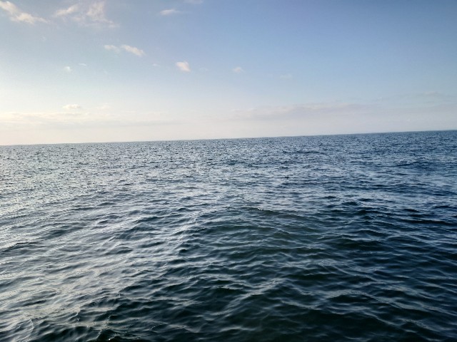 f:id:fish-eaters:20220411052448j:image f:id:fish-eaters:20220411052448j:image