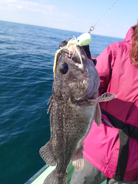f:id:fish-eaters:20220411053805j:image f:id:fish-eaters:20220411053805j:image