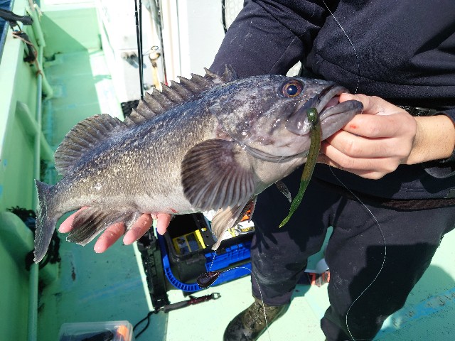 f:id:fish-eaters:20220411054213j:image f:id:fish-eaters:20220411054213j:image
