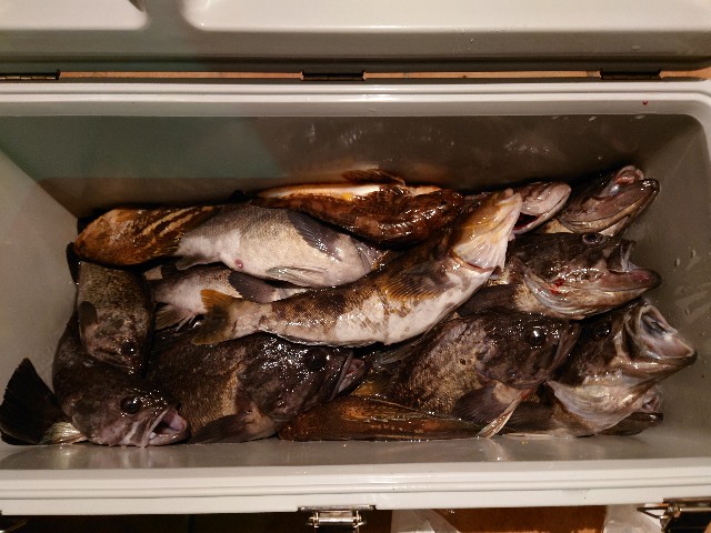 f:id:fish-eaters:20220411054719j:image f:id:fish-eaters:20220411054719j:image