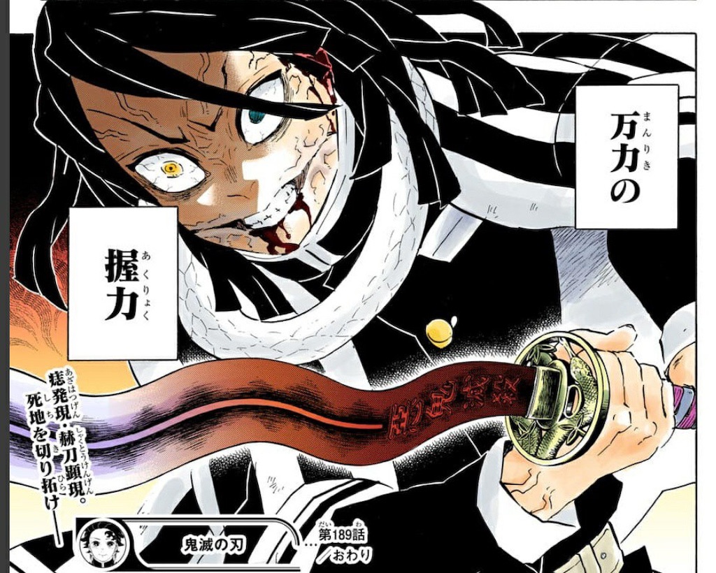 f:id:fish_feelright:20201204144701j:image f:id:fish_feelright:20201204144701j:image