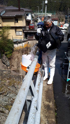 f:id:fish_tai:20190424151735j:plain