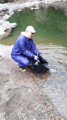 f:id:fish_tai:20190424152255j:plain