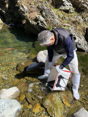f:id:fish_tai:20190424153217j:plain