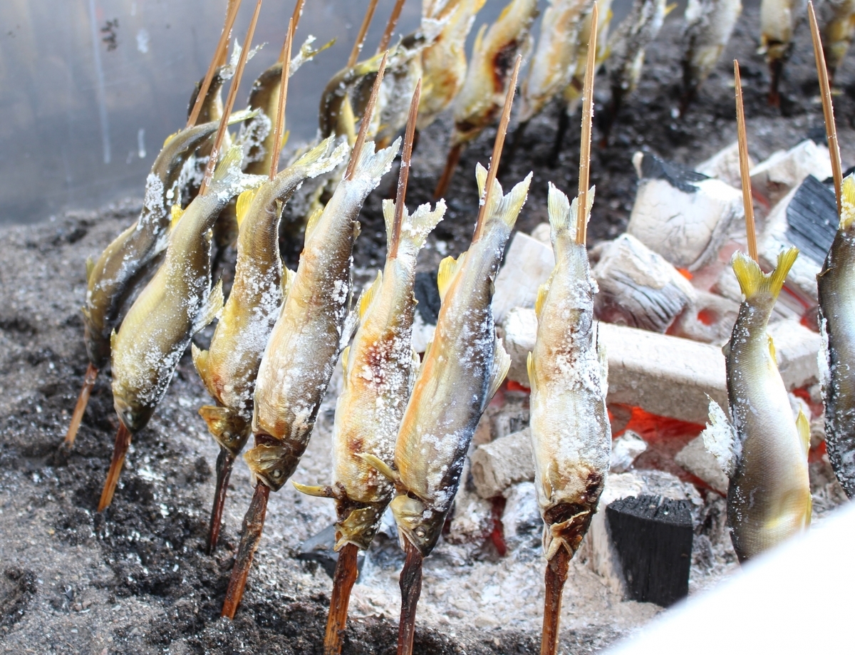 f:id:fish_tai:20190503012524j:plain