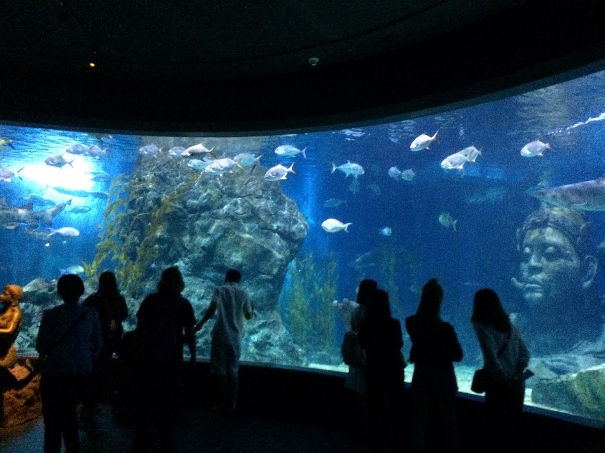 f:id:fish_traveler:20200508144000j:plain