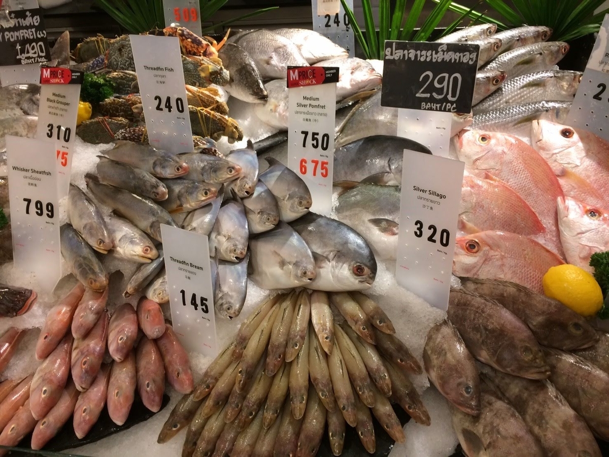 f:id:fish_traveler:20200508144743j:plain