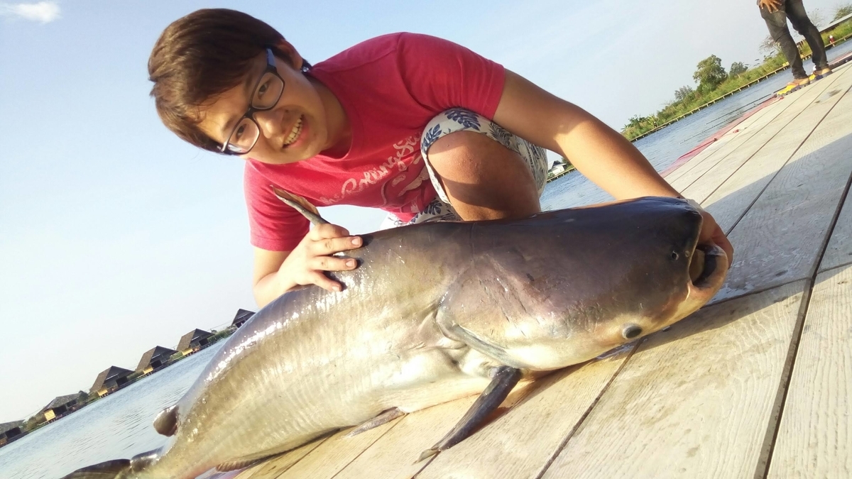 f:id:fish_traveler:20200508232937j:plain