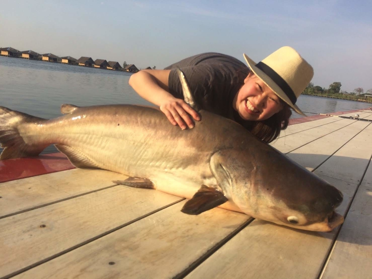 f:id:fish_traveler:20200508233453j:plain
