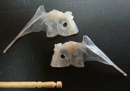 f:id:fishinfish2010:20101031011035j:image f:id:fishinfish2010:20101031011035j:image