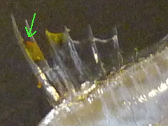 f:id:fishinfish2010:20110624174754j:image
