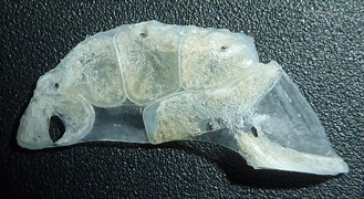 f:id:fishinfish2010:20120127133024j:image