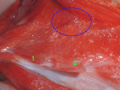 f:id:fishinfish2010:20120418174809j:image f:id:fishinfish2010:20120418174809j:image