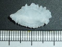 f:id:fishinfish2010:20120420173336j:image f:id:fishinfish2010:20120420173336j:image