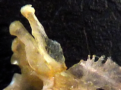 f:id:fishinfish2010:20121017175741j:image f:id:fishinfish2010:20121017175741j:image