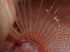 f:id:fishinfish2010:20121117142229j:image