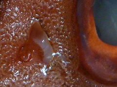 f:id:fishinfish2010:20121120111950j:image