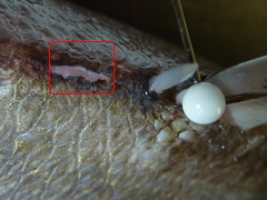 f:id:fishinfish2010:20130204172301j:image