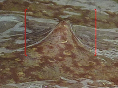 f:id:fishinfish2010:20130214154557j:image