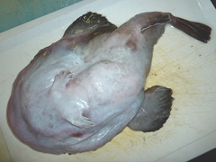 f:id:fishinfish2010:20130214154602j:image