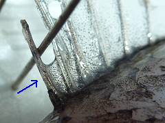 f:id:fishinfish2010:20130215172826j:image