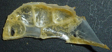 f:id:fishinfish2010:20130426155329j:image