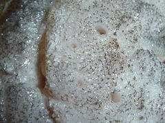 f:id:fishinfish2010:20130513155358j:image