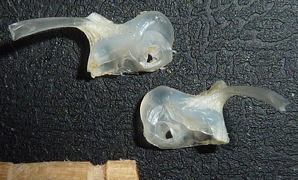 f:id:fishinfish2010:20140430112324j:image