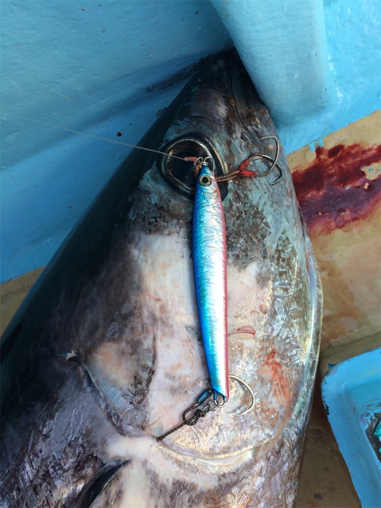 f:id:fishing-aquarium:20190212204013j:image
