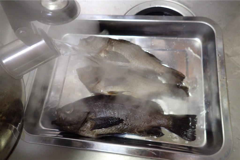 f:id:fishing-aquarium:20190325165353j:image f:id:fishing-aquarium:20190325165353j:image