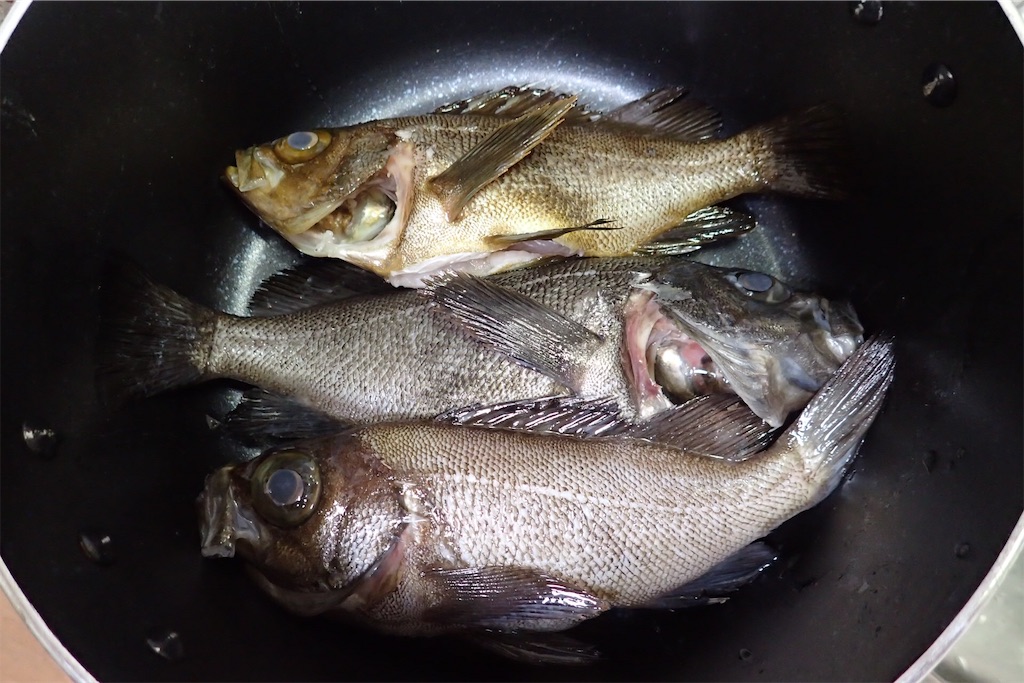 f:id:fishing-aquarium:20190325165421j:image f:id:fishing-aquarium:20190325165421j:image
