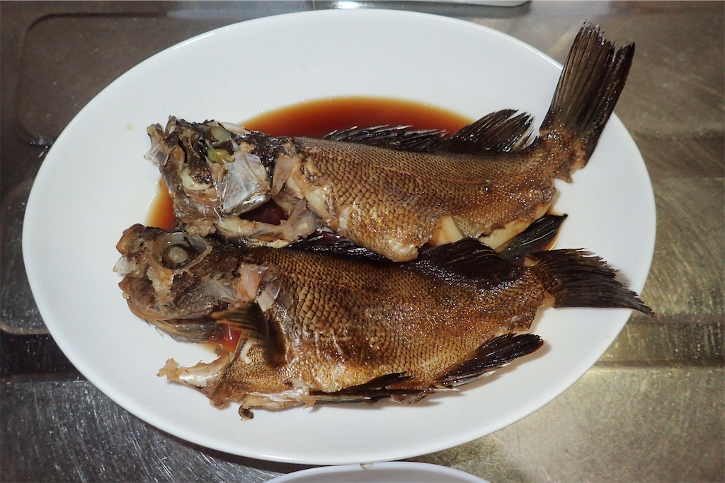 f:id:fishing-aquarium:20190325165455j:image f:id:fishing-aquarium:20190325165455j:image