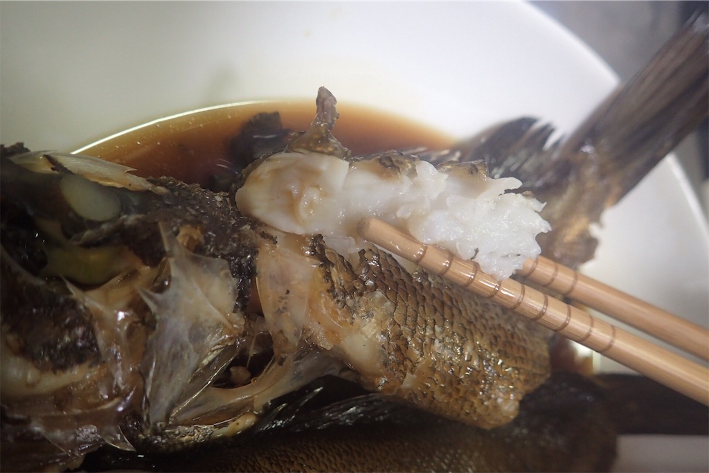 f:id:fishing-aquarium:20190325165611j:image f:id:fishing-aquarium:20190325165611j:image