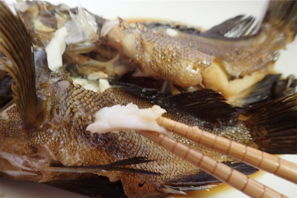 f:id:fishing-aquarium:20190325165706j:image f:id:fishing-aquarium:20190325165706j:image