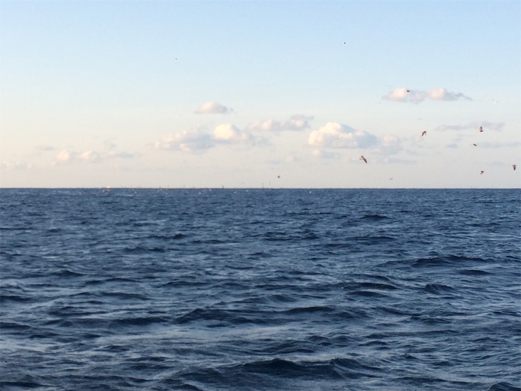 f:id:fishing-aquarium:20190410200201j:image