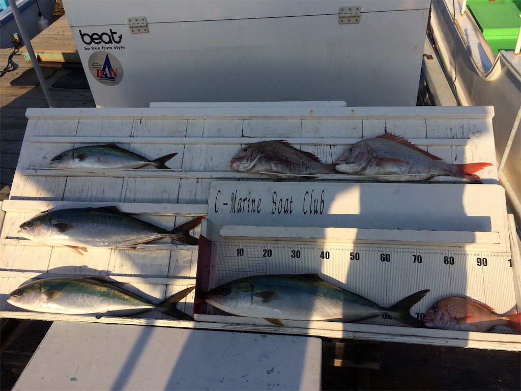 f:id:fishing-aquarium:20190411201749j:image