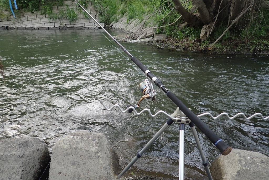 f:id:fishing-aquarium:20190425095557j:image f:id:fishing-aquarium:20190425095557j:image